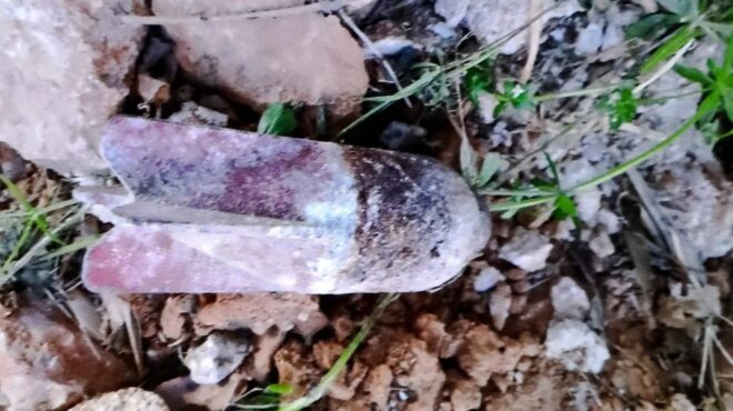 πεύκη-εντός-της-ημέρας-η-εξουδετέρωση-564143650