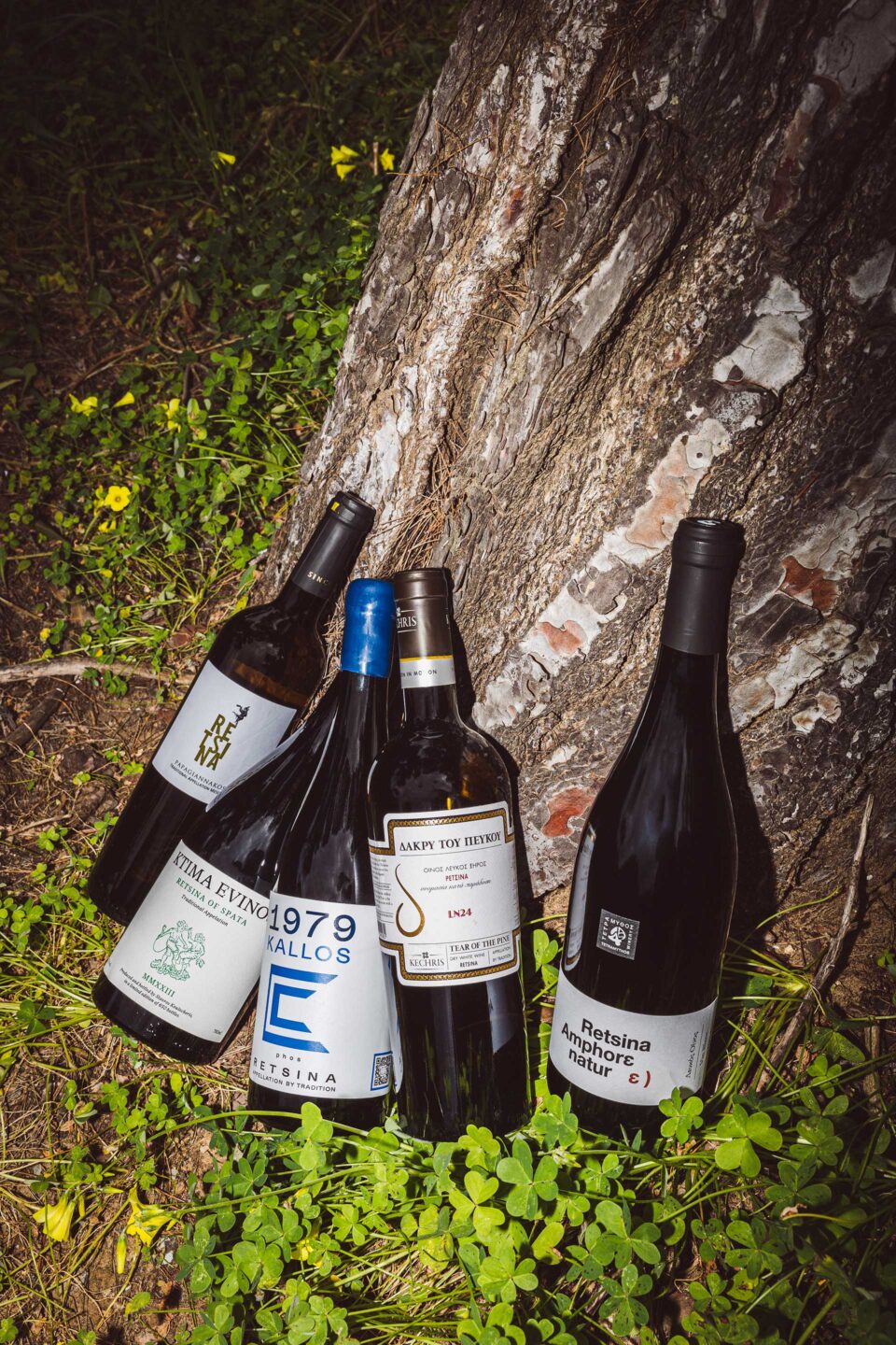 Η ρετσίνα ως terroir προϊόν-1