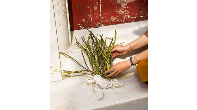 το-εκλεκτό-λαχανικό-με-την-ήπια-αντιοξ-564136192