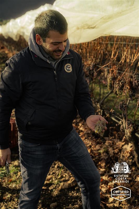 Estates Costa Lazaridi: το πρώτο οινοποιείο στην Ελλάδα με πιστοποίηση Αναγεννητικής Αμπελοκαλλιέργειας-2