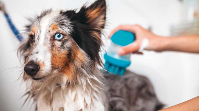 εσείς-το-ξέρατε-ότι-υπάρχουν-σελφ-σέρβ-564134191