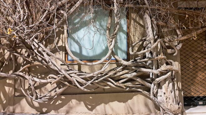 κολωνάκι-ο-μικρόκοσμος-της-τσακάλωφ-564112087