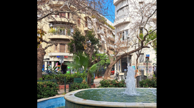 η-πατριδογνωσία-της-κυψέλης-ένα-βιβ-564141745