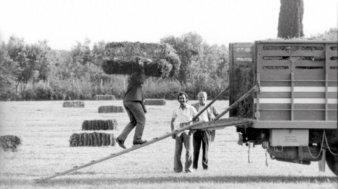 1976-η-ελλάδα-του-μόχθου-564146764