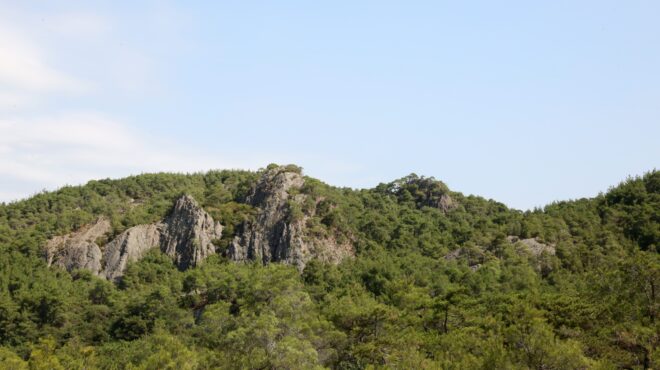 εθνικό-πάρκο-δαδιάς-ενδείξεις-δηλητη-564122260