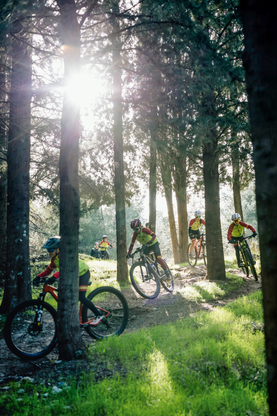 Στην Κω, το νησί του ποδηλάτου-4