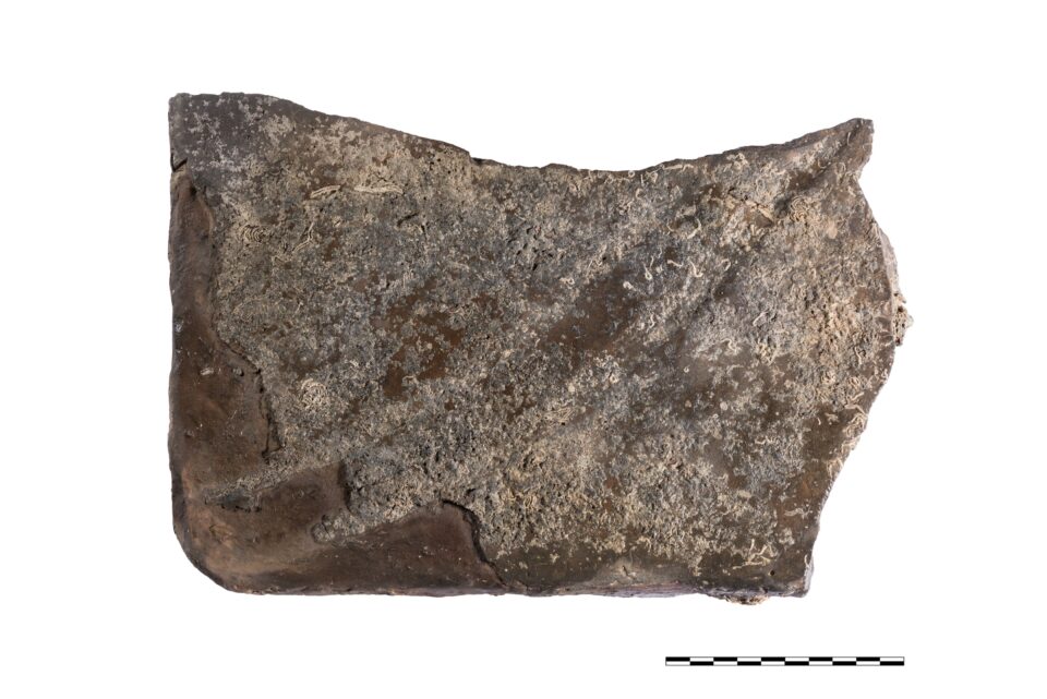 «ΜΕΝΤΩΡ»: Νέες ανακαλύψεις στο ιστορικό ναυάγιο του Ελγιν-10