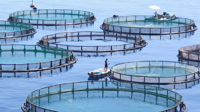 η-cooke-ξεσκονίζει-τα-στοιχεία-της-avramar-564143710