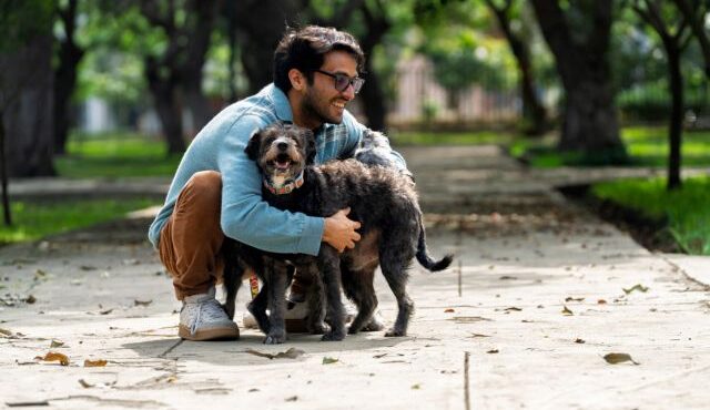 πάρτε-έναν-σκύλο-ίσως-ζήσετε-περισσότ-564132607