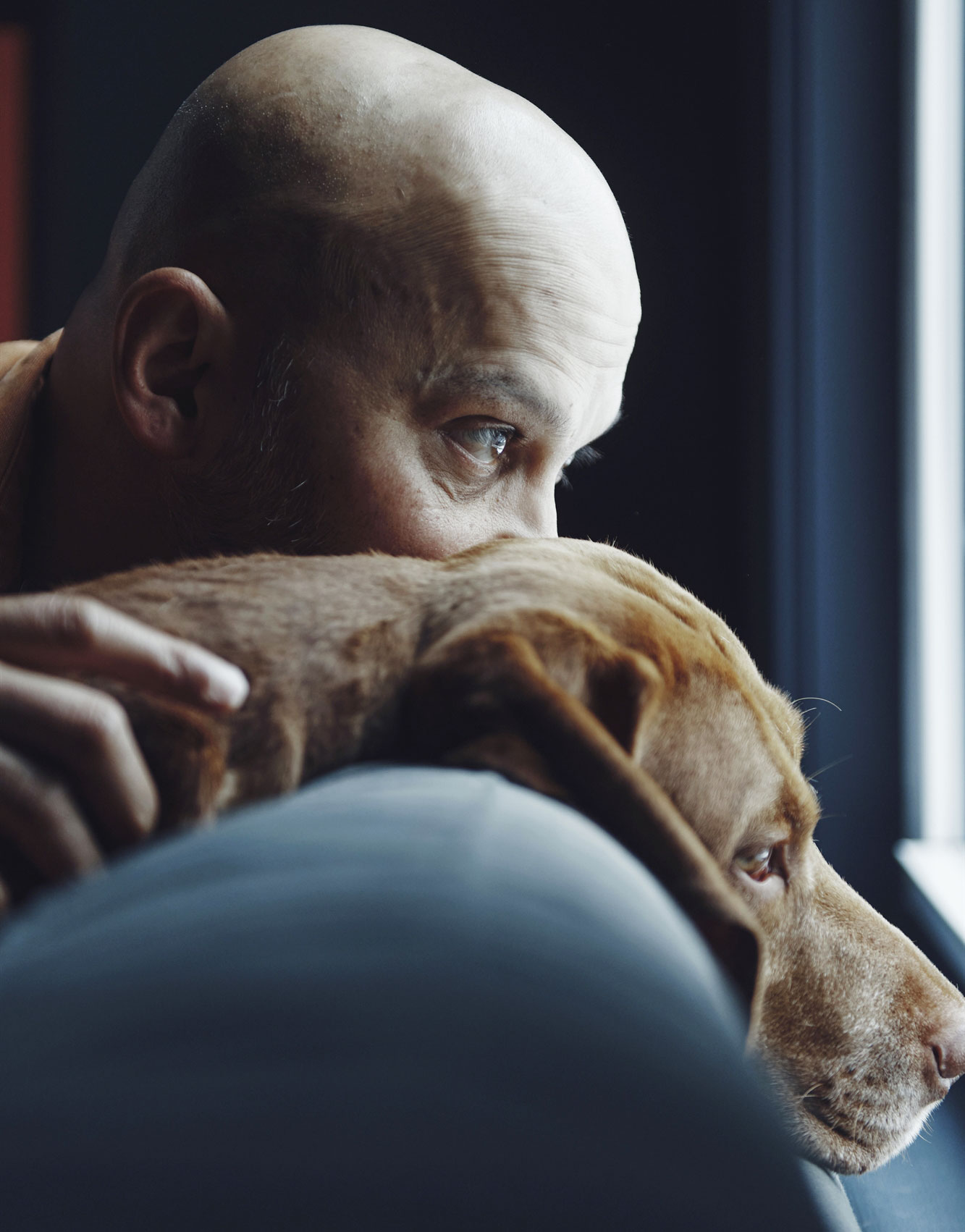 Πάρτε έναν σκύλο, ίσως ζήσετε περισσότερο-1