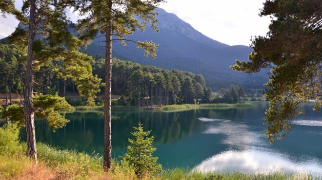 παγκόσμια-ημέρα-δασών-γιορτή-με-εγκώμ-564136630