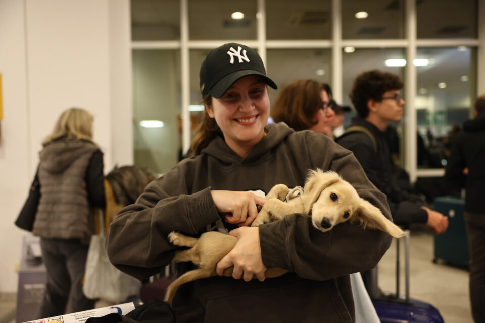 Ελληνες επέστρεψαν με τα κατοικίδιά τους από το Αμπου Ντάμπι-5