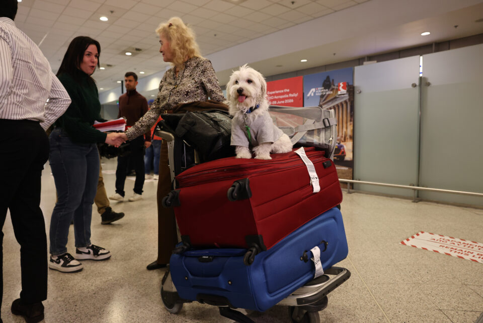 Ελληνες επέστρεψαν με τα κατοικίδιά τους από το Αμπου Ντάμπι-1