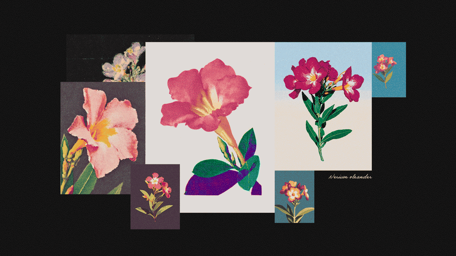 ο-πόλεμος-της-πικροδάφνης-στα-σχολε-564130060