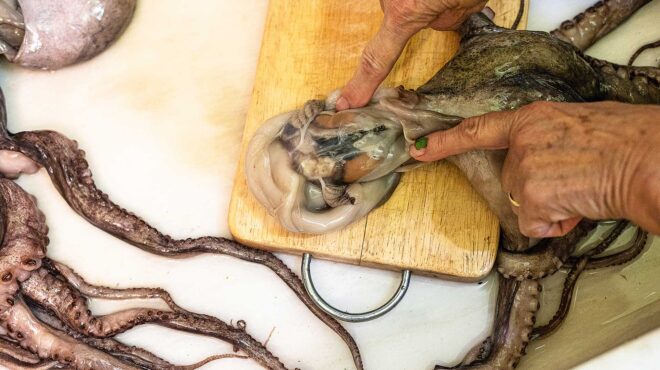 πώς-καθαρίζουμε-το-χταπόδι-564108919