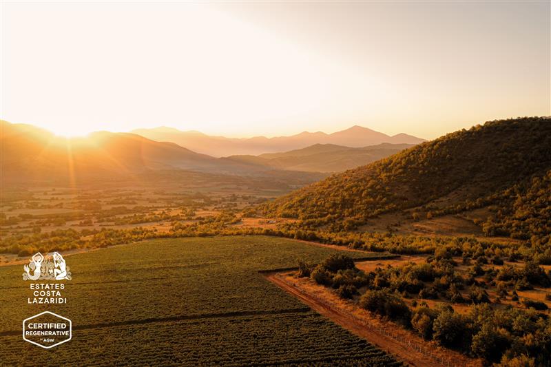 Estates Costa Lazaridi: το πρώτο οινοποιείο στην Ελλάδα με πιστοποίηση Αναγεννητικής Αμπελοκαλλιέργειας-1