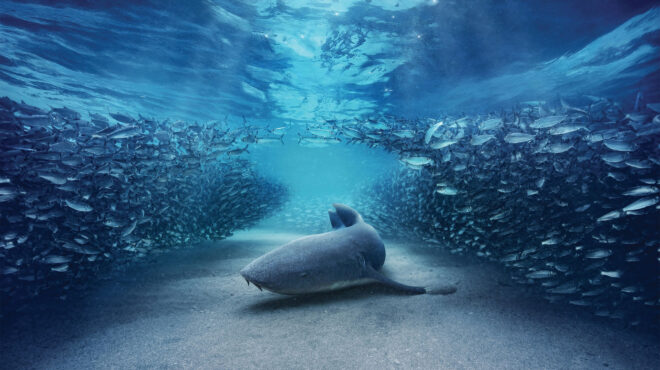 σκαϊ-bbc-studios-20-χρόνια-μαζί-564152500