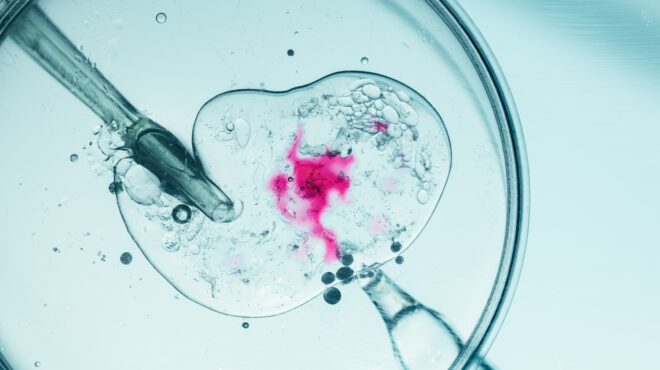 κάτι-δεν-πήγαινε-καλά-κλινικές-εξωσ-564151891