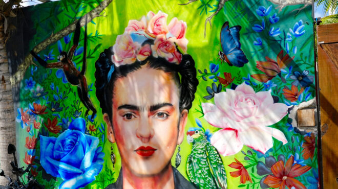 το-netflix-ετοιμάζει-σειρά-για-τη-ζωή-της-φρί-564122362