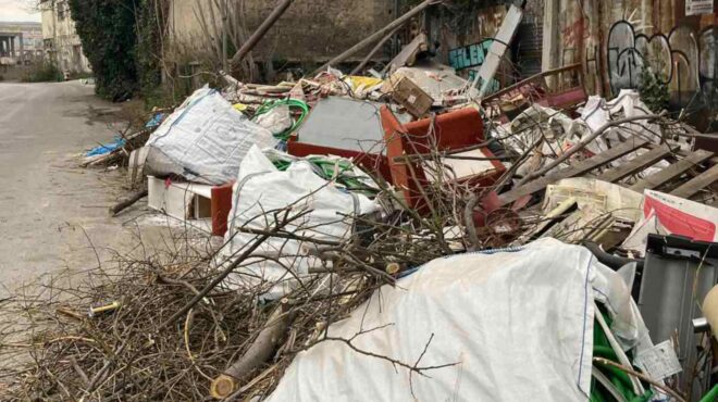 βοτανικός-πετούσαν-σε-δημόσιους-χώρο-564146392