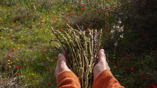 τι-πάθανε-οι-ορνοί-της-συκιάς-και-βγαίν-564139891