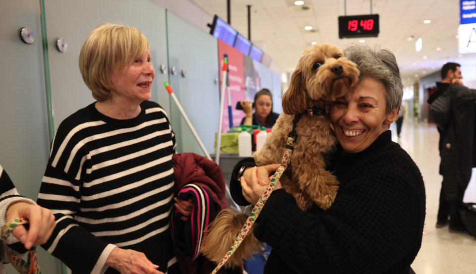 Ελληνες επέστρεψαν με τα κατοικίδιά τους από το Αμπου Ντάμπι-8