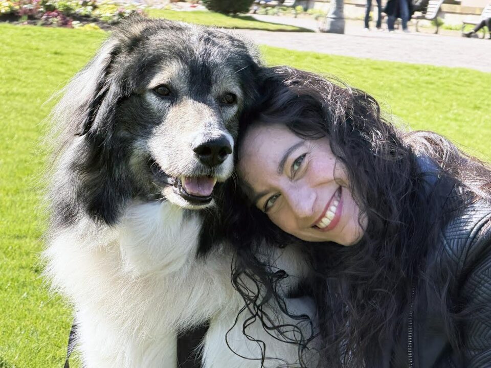 Τα «αόρατα» ζώα των καταφυγίων-1