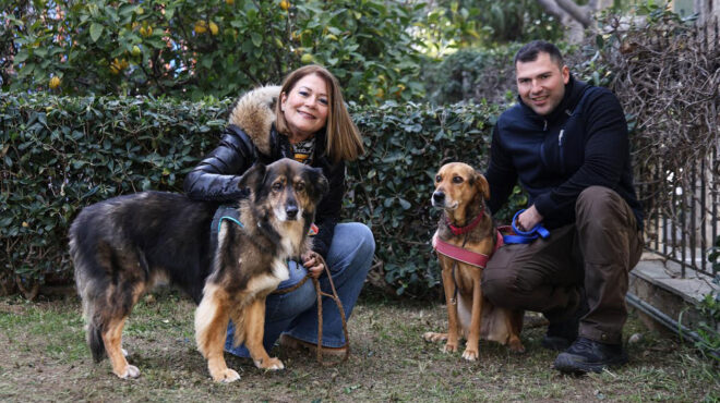 τα-αόρατα-ζώα-των-καταφυγίων-564172318