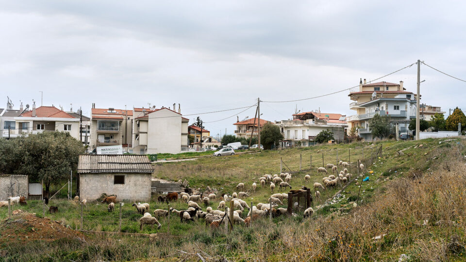 West Side Story: Eνα μοναδικό οδοιπορικό στις δυτικές συνοικίες της Θεσσαλονίκης-4