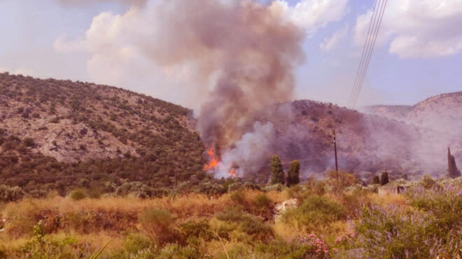 φωτιά-σε-δασική-έκταση-στη-σκιάθο-564183061