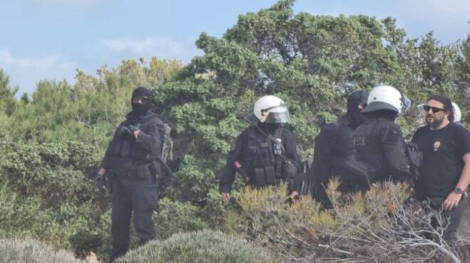 γαύδος-αντιδράσεις-και-ματ-για-την-κατ-564188419