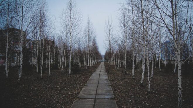 γαλλία-40-χρόνια-μετά-το-τσερνόμπιλ-η-ρα-564190375