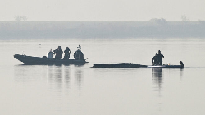 τελευταία-ευκαιρία-για-τη-φάλαινα-timmy-με-564179326