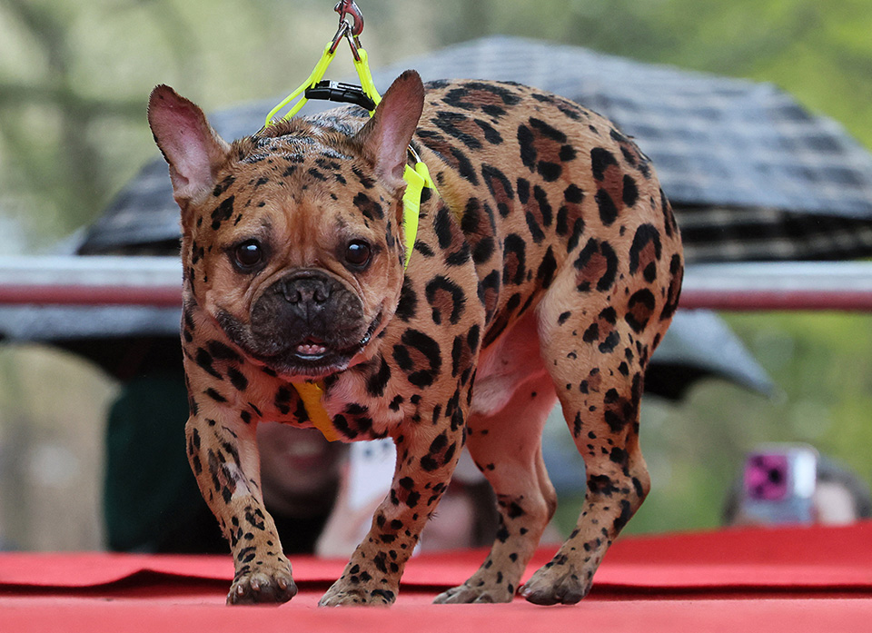 Ανθρωποι και ταλέντα-3