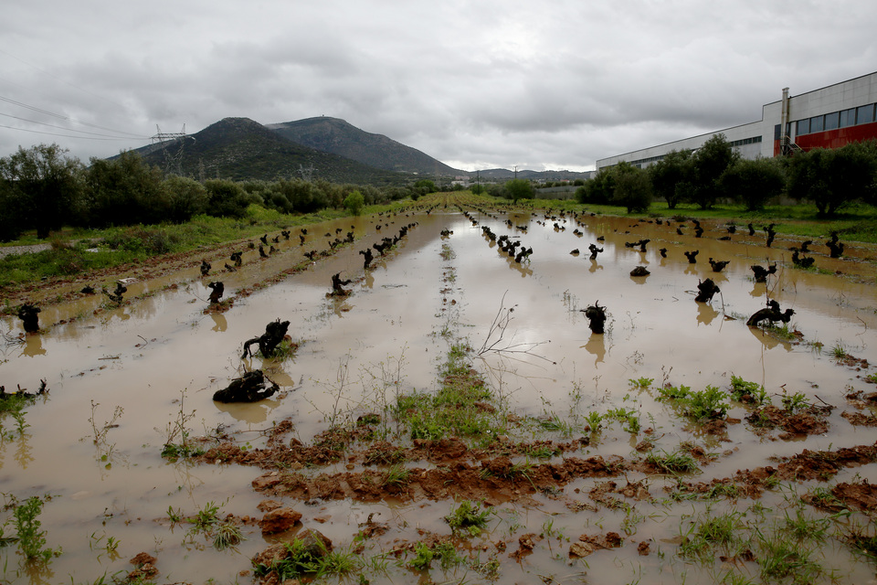 Εναν νεκρό και μεγάλες καταστροφές άφησε πίσω της η κακοκαιρία «Erminio»-4