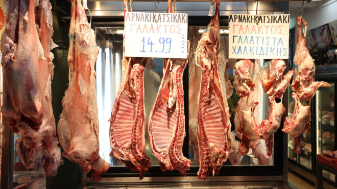 αρνί-με-επιλογές-564166672