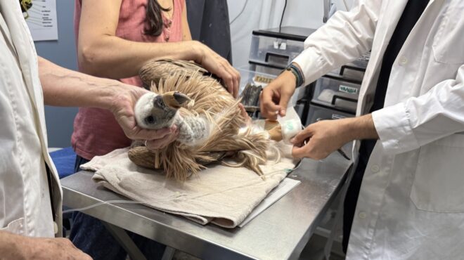 τα-κενά-και-οι-προκλήσεις-για-την-προστ-564201334