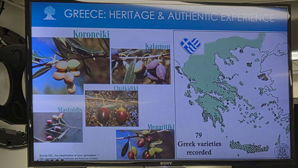 Το ελληνικό ελαιόλαδο στην Ακαδημία Υψηλής Μαγειρικής Τέχνης της Ελβετίας-1