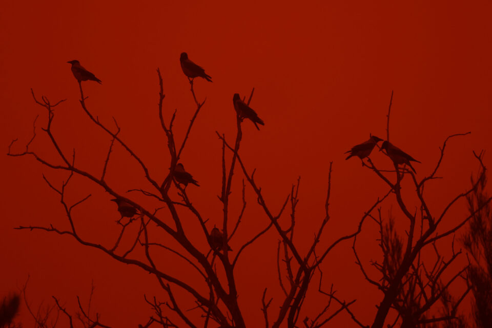 Η αφρικανική σκόνη έπνιξε την Κρήτη – Καταγράφηκαν υπερδεκαπλάσιες συγκεντρώσεις-2