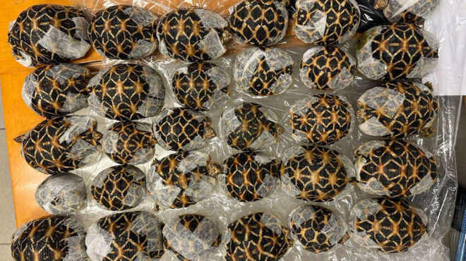 ταϊλάνδη-19χρονη-συνελήφθη-στο-αεροδρό-564202318