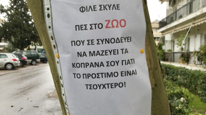 ο-αστικός-πολιτισμός-του-είδους-των-αν-564200362