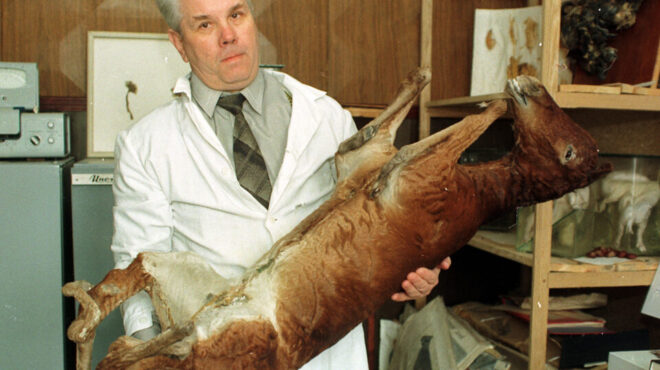 ολεθρος-θυσία-σιωπή-οι-καθηλωτικές-μν-564195334