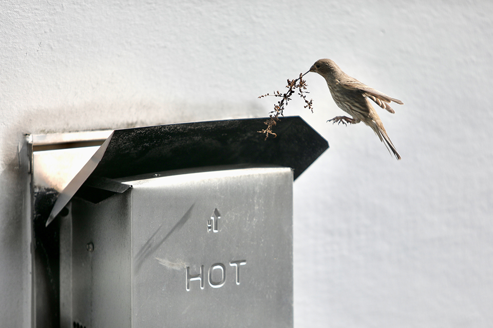 Τα Θεία Πάθη στην φυλακή-3