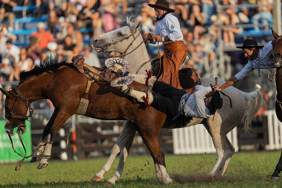 Πρόγραμμα διάσωσης-2