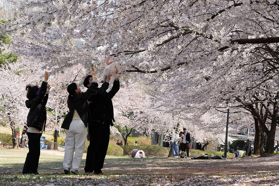 Ενα μπολιασμένο καρναβάλι-1