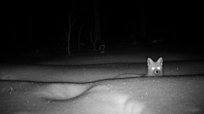 τσερνόμπιλ-40-χρόνια-μετά-ο-άνθρωπος-έφ-564183385