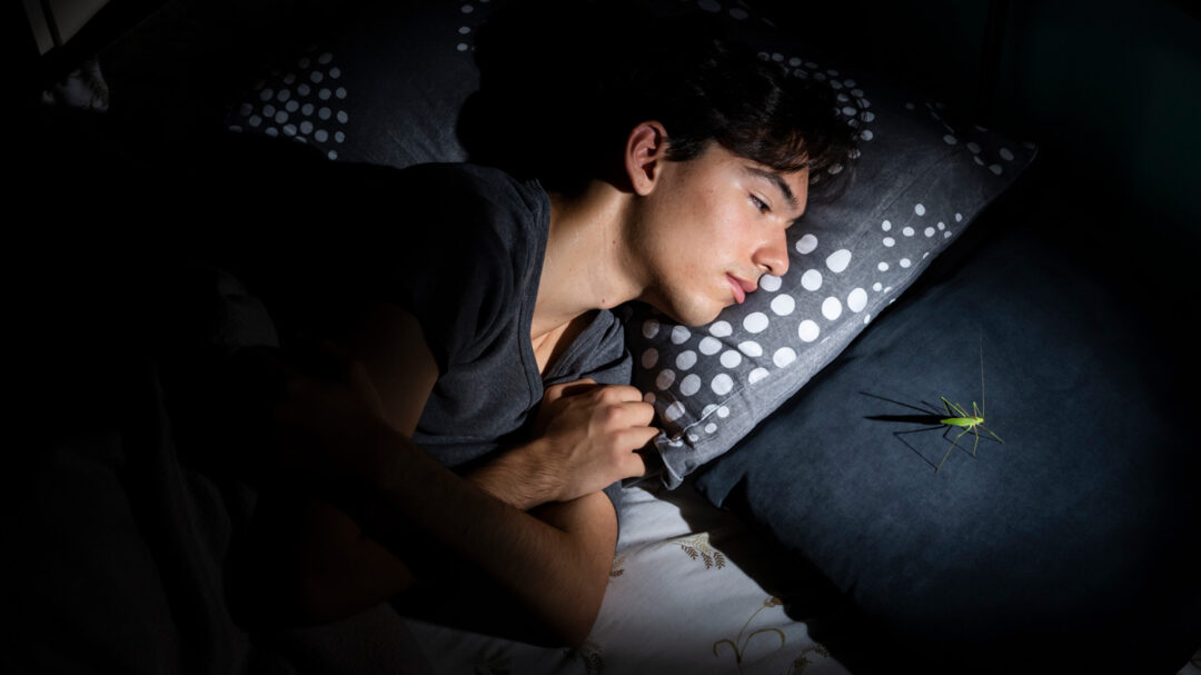 γιατί-τα-παιδιά-αγαπούν-τα-έντομα-564166519