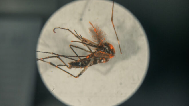 μέσα-στο-εργαστήριο-με-τα-επικίνδυνα-κ-564192013