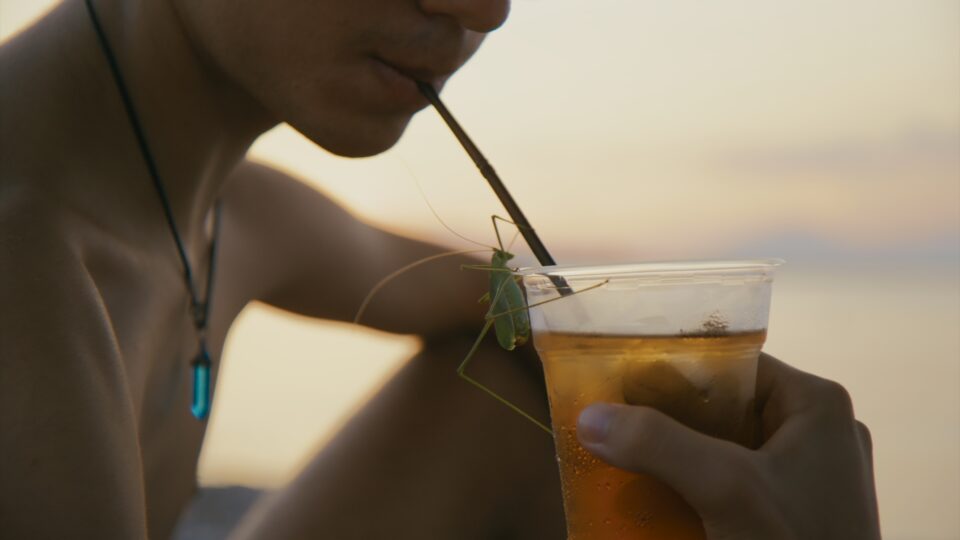 Γιατί τα παιδιά αγαπούν τα έντομα-2