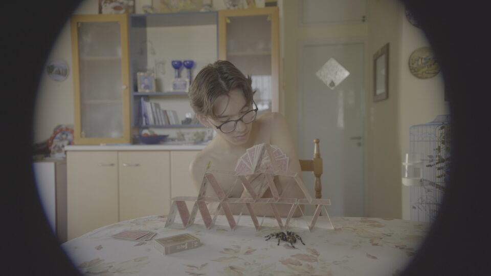 Γιατί τα παιδιά αγαπούν τα έντομα-8